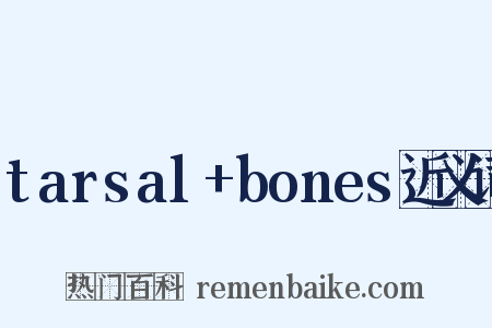 tarsal+bones近义词是什么意思的图片